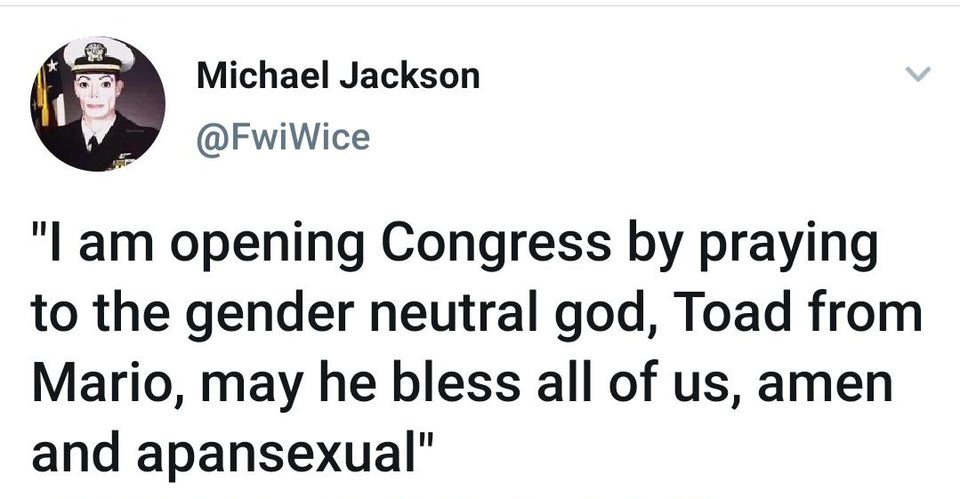 funny twitter jokes and memes - I am opening congress by praying to the gender neutral god, Toad from Mario, may he bless all of us, amen and apansexual.