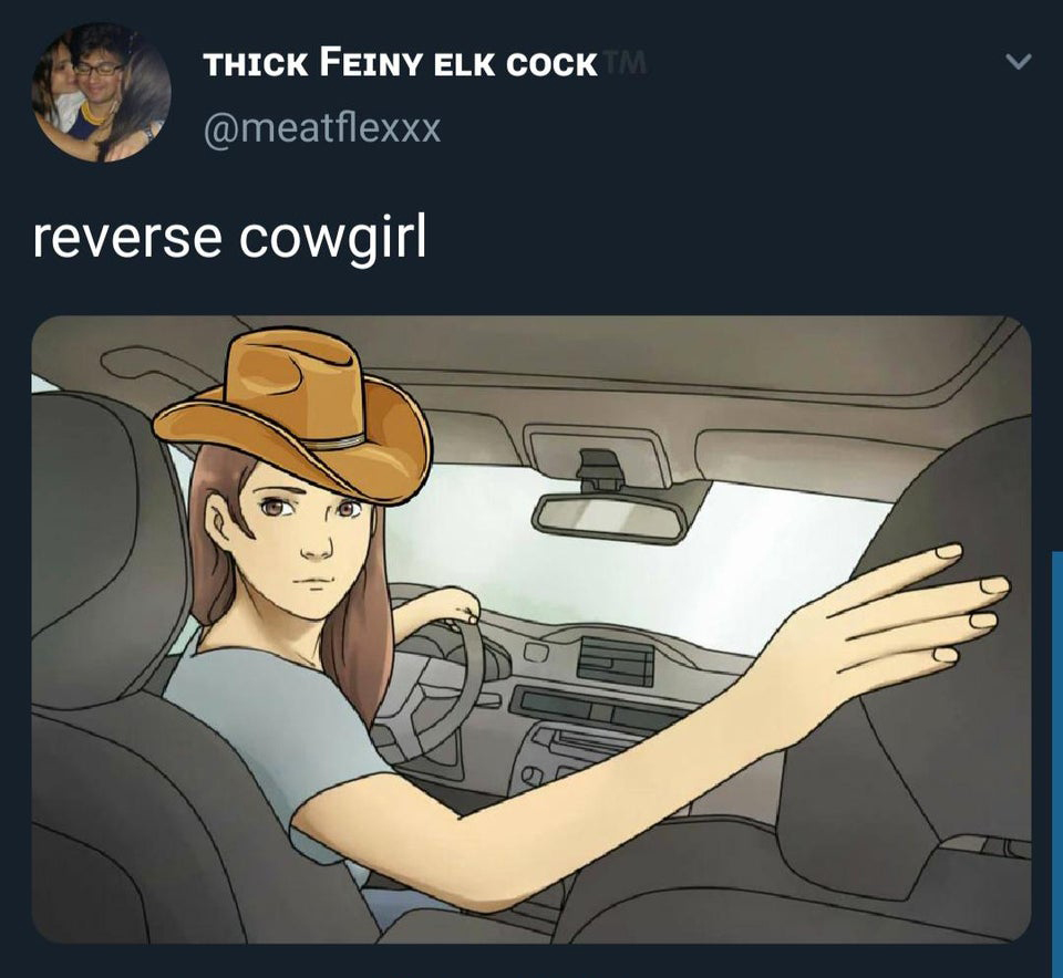 funny twitter jokes and memes - reverse cowgirl meme