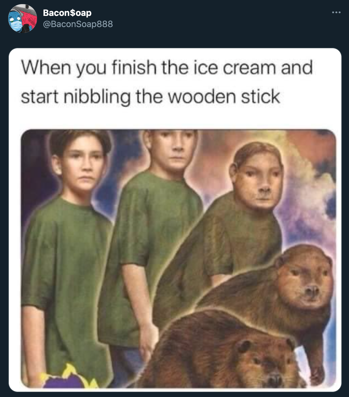 funny twitter jokes and memes - When you finish the ice cream and start nibbling the wooden stick