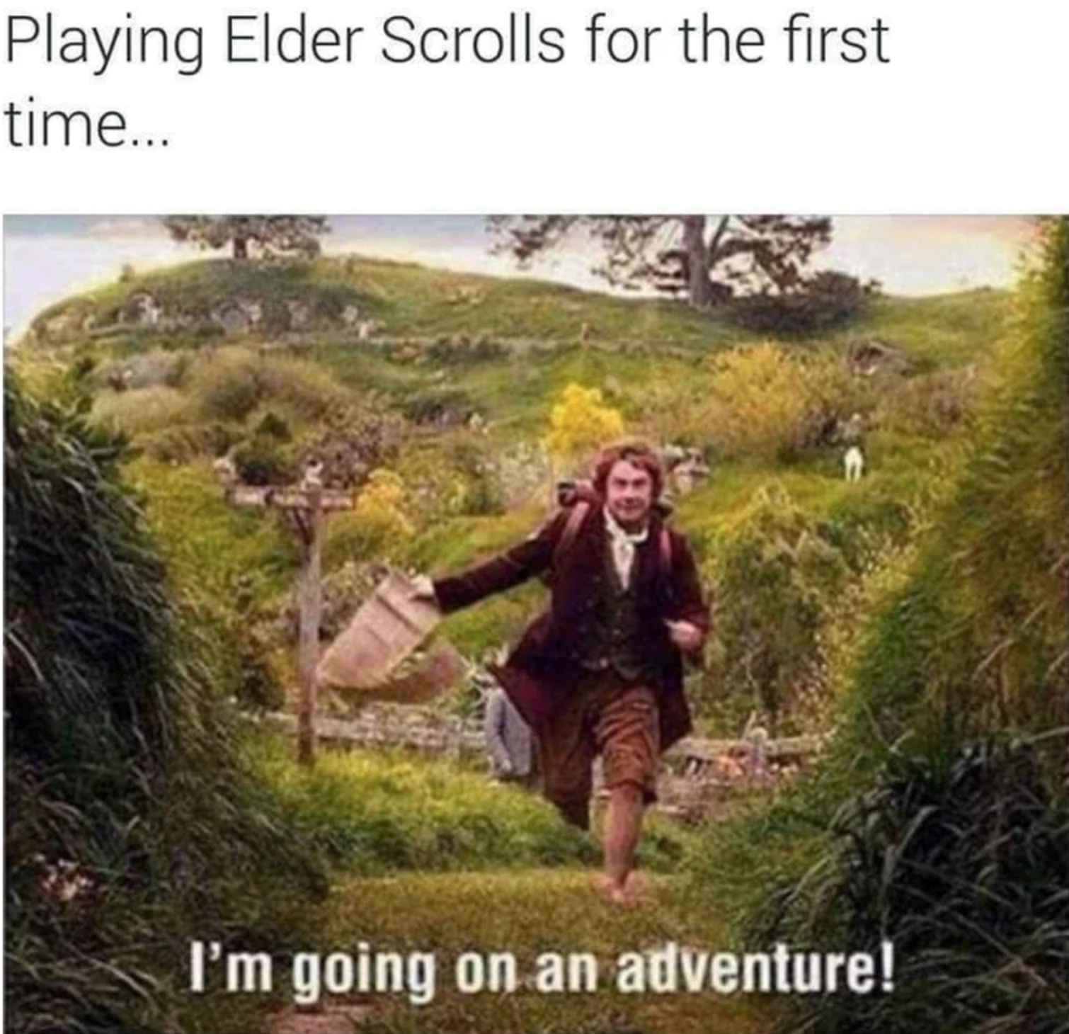 hobbit adventure meme - Playing Elder Scrolls for the first time... I'm going on an adventure!