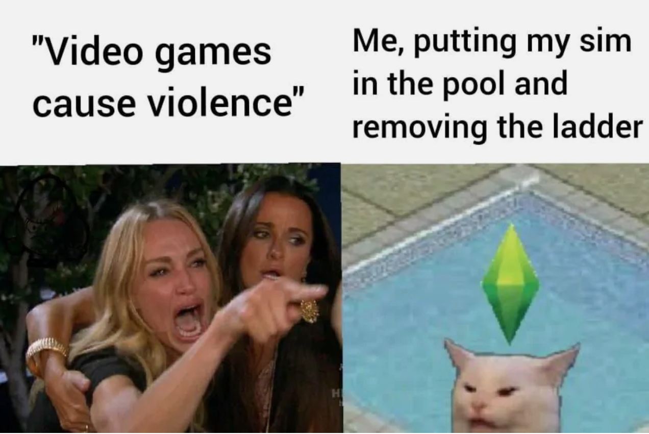 woman yelling at a cat - video games cause violence -  me putting my sim in the pool and removing the ladder