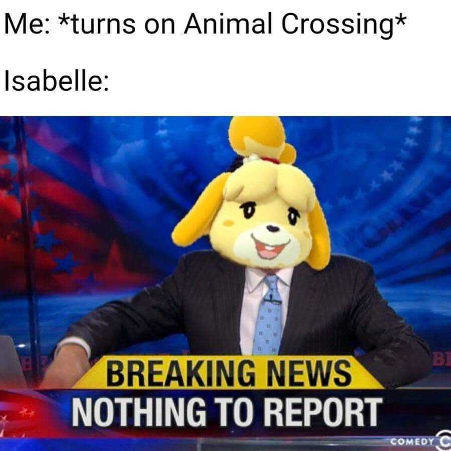 animal crossing memes - Me turns on Animal Crossing Isabelle Bi Breaking News Nothing To Report Comedy C C