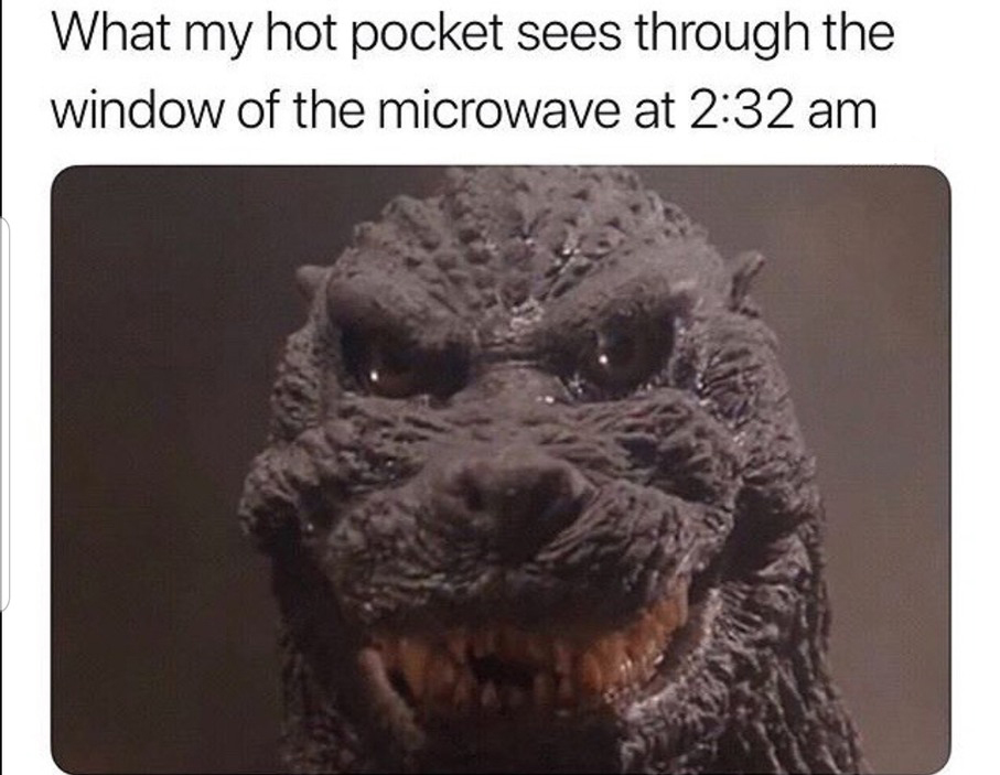 funny godzilla vs. kong memes - What my hot pocket sees through the window of the microwave at 2:32 am