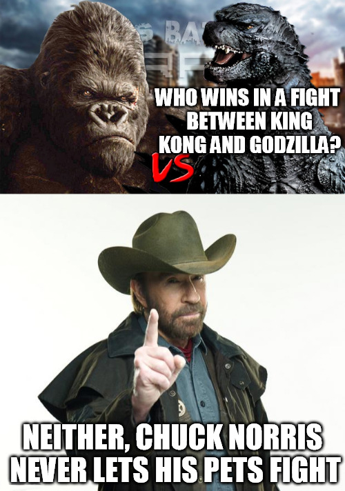funny godzilla vs. kong memes - Who Wins In A Fight Between King Kong And Godzilla? Neither, Chuck Norris Never Lets His Pets Fight