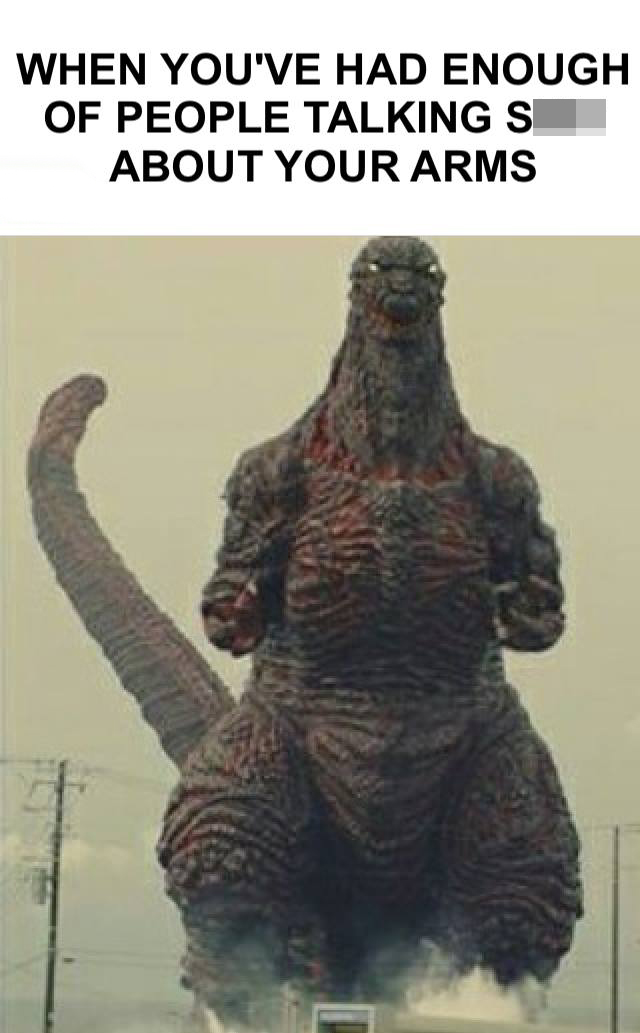 funny godzilla vs. kong memes - When You'Ve Had Enough Of People Talking Shit About Your Arms