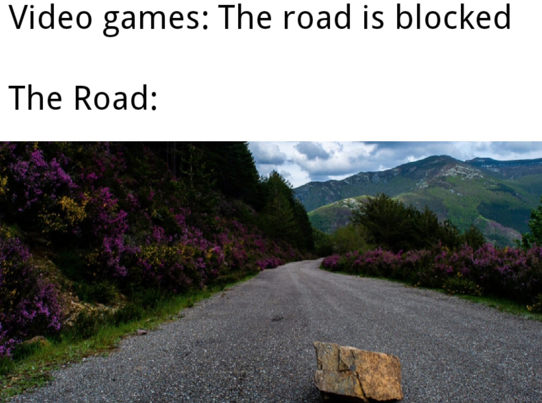 nature - Video games The road is blocked The Road