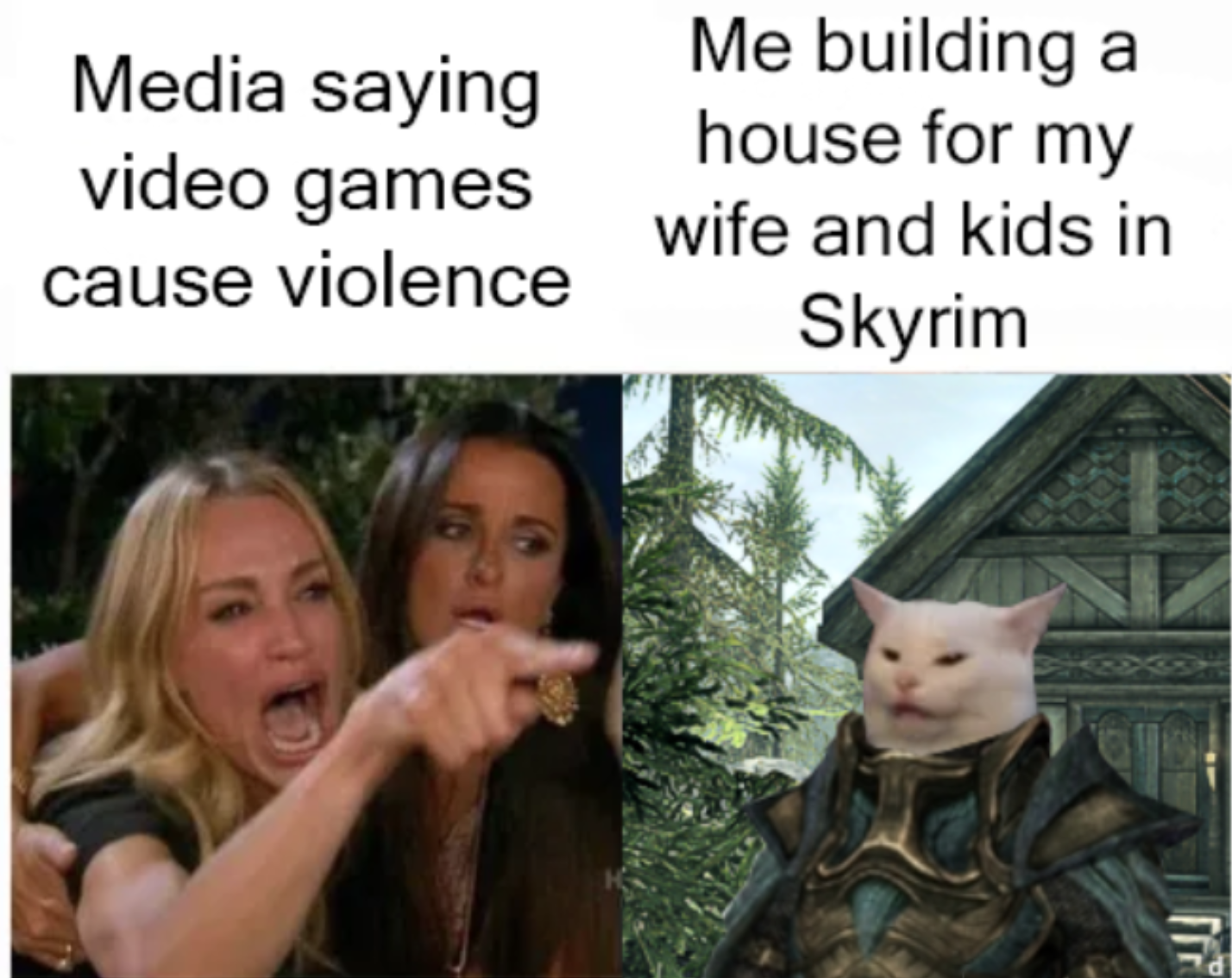me building a house for my wife - Media saying video games cause violence Me building a house for my wife and kids in Skyrim