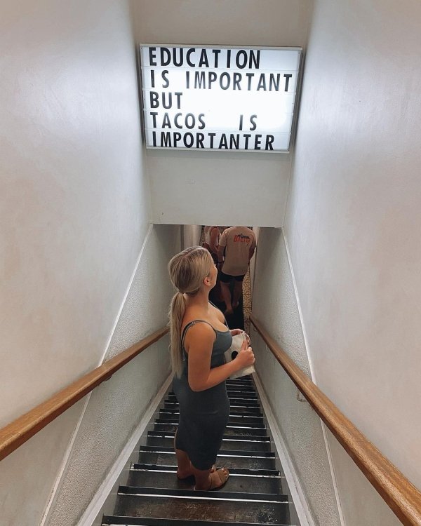 funny pics and randoms - stairs - Education Is Important But Tacos Is Importanter