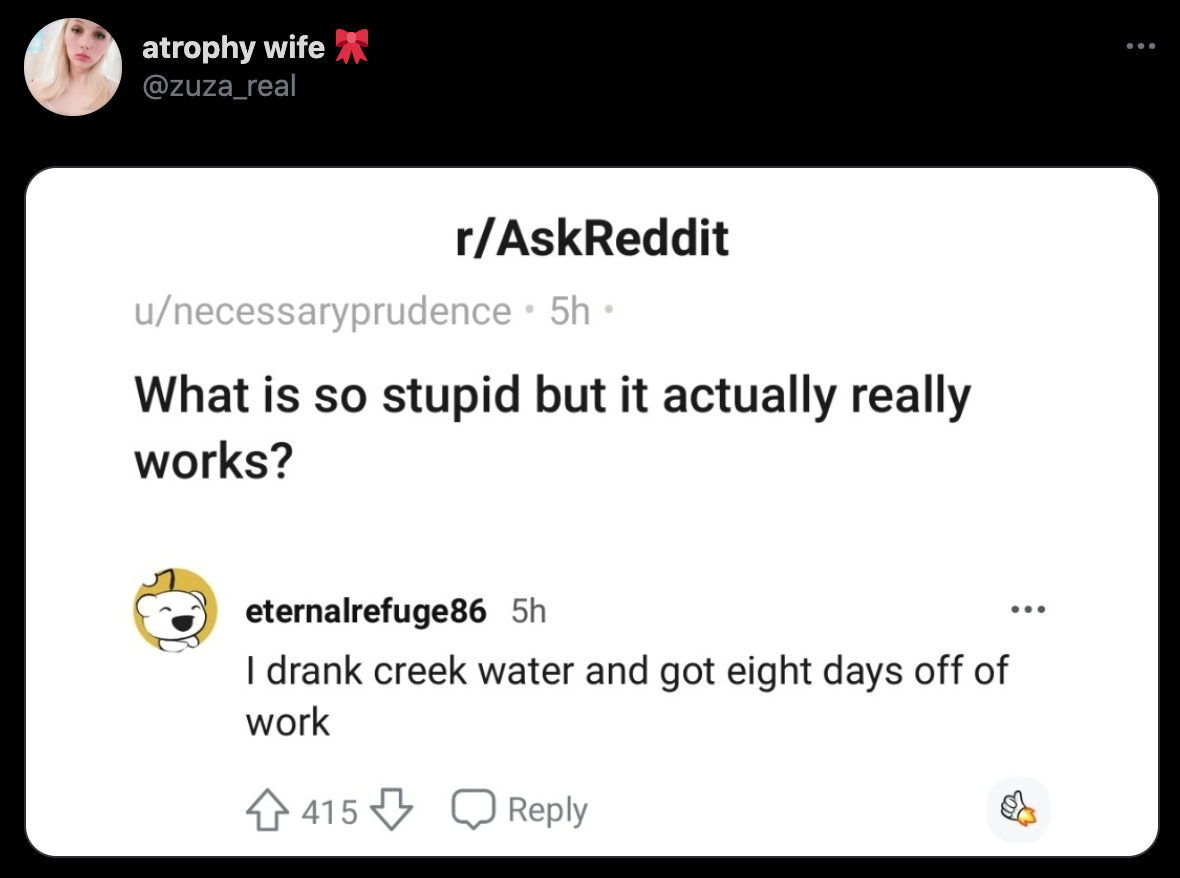 funny twitter jokes - What is so stupid but it actually really works? - I drank creek water and got eight days off of work