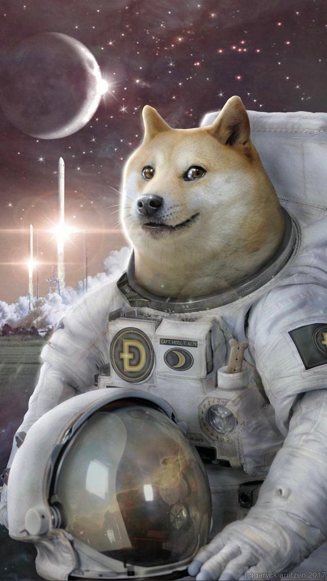 dogecoin-memes-space doge
