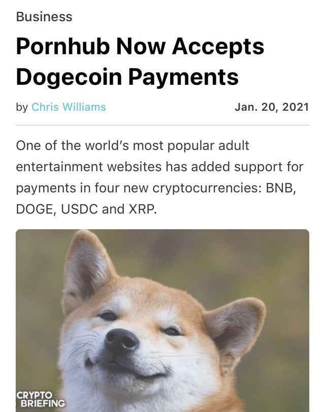 dogecoin-memes-fauna - Business Pornhub Now Accepts Dogecoin Payments by Chris Williams Jan. 20, 2021 One of the world's most popular adult entertainment websites has added support for payments in four new cryptocurrencies Bnb, Doge, Usdc and Xrp. Crypto 