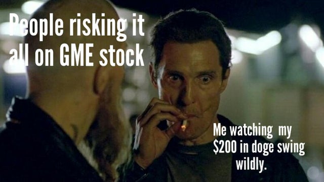 dogecoin-memes-true detective season 1 episode 4 - neople risking it all on Gme stock Me watching my $200 in doge swing wildly.