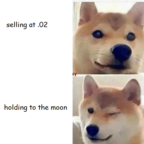 dogecoin-memes-memes de tenemos un indio aqui - selling at.02 oy holding to the moon
