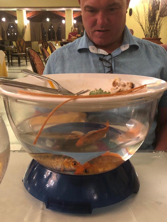 funny food pics - man confused looking at his food served on top of a fish bowl