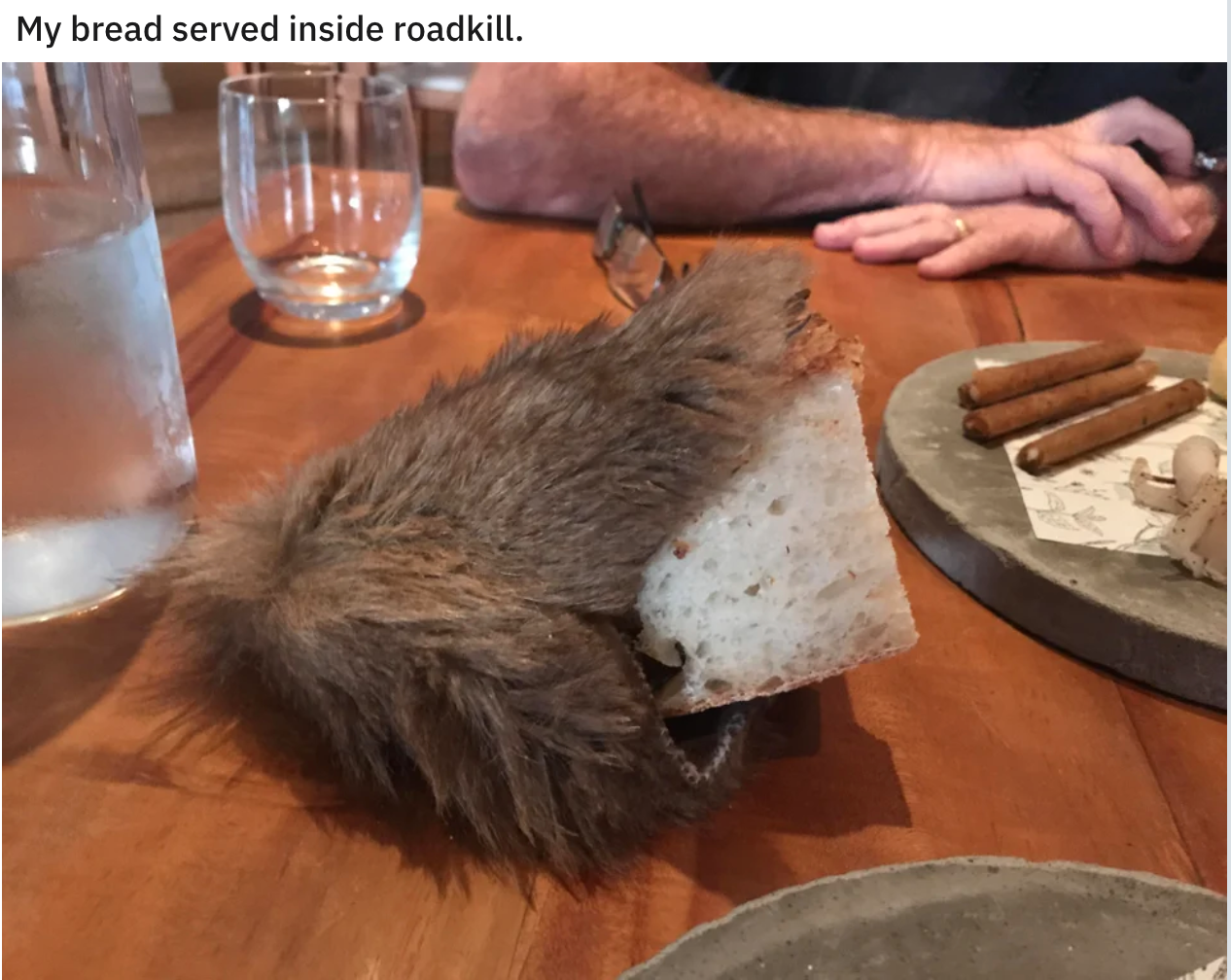 funny food pics - My bread served inside roadkill.
