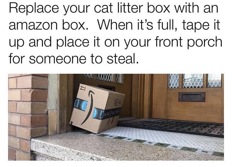 funny bad life advice - Replace your cat litter box with an amazon box. When it's full, tape it up and place it on your front porch for someone to steal.