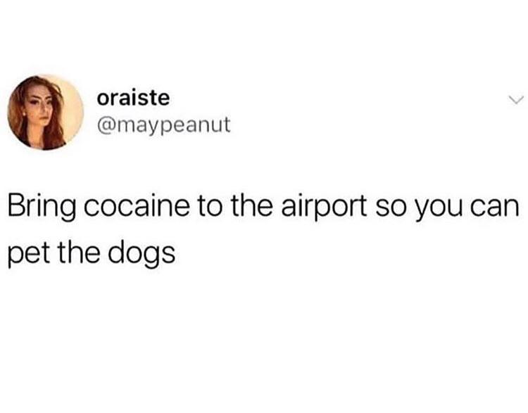 funny bad life advice - Bring cocaine to the airport so you can pet the dogs
