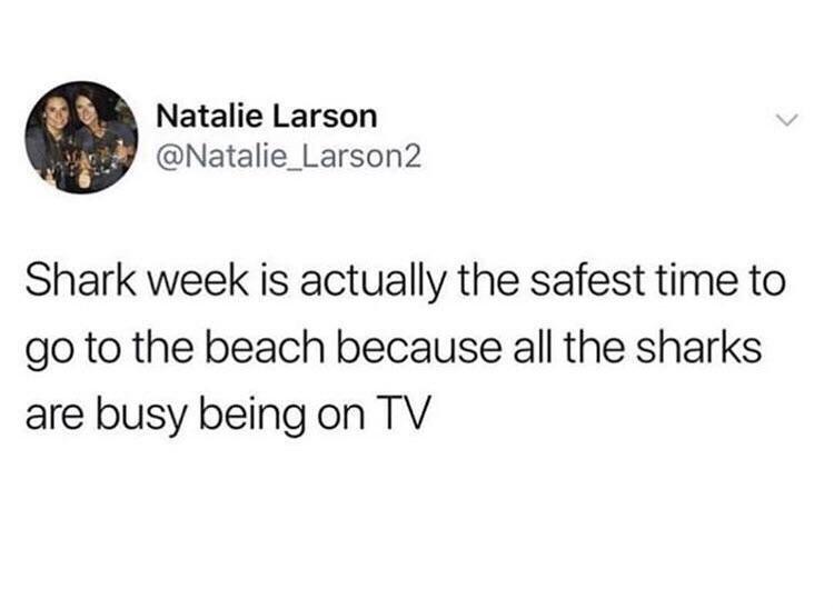 annoyed twitter quotes - Natalie Larson Shark week is actually the safest time to go to the beach because all the sharks are busy being on Tv