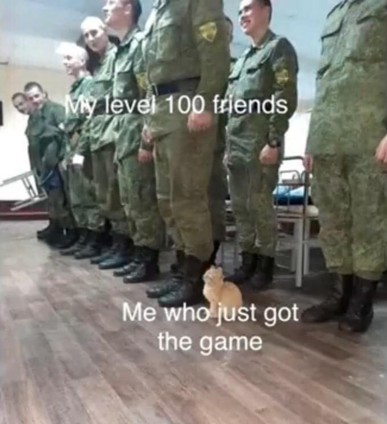 gaming memes - military cat - My level 100 friends Me who just got the game