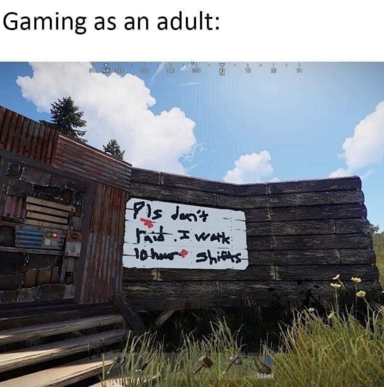 gaming memes - sky - Gaming as an adult Pls don't Tit. I with 10 hour shifts 500ml