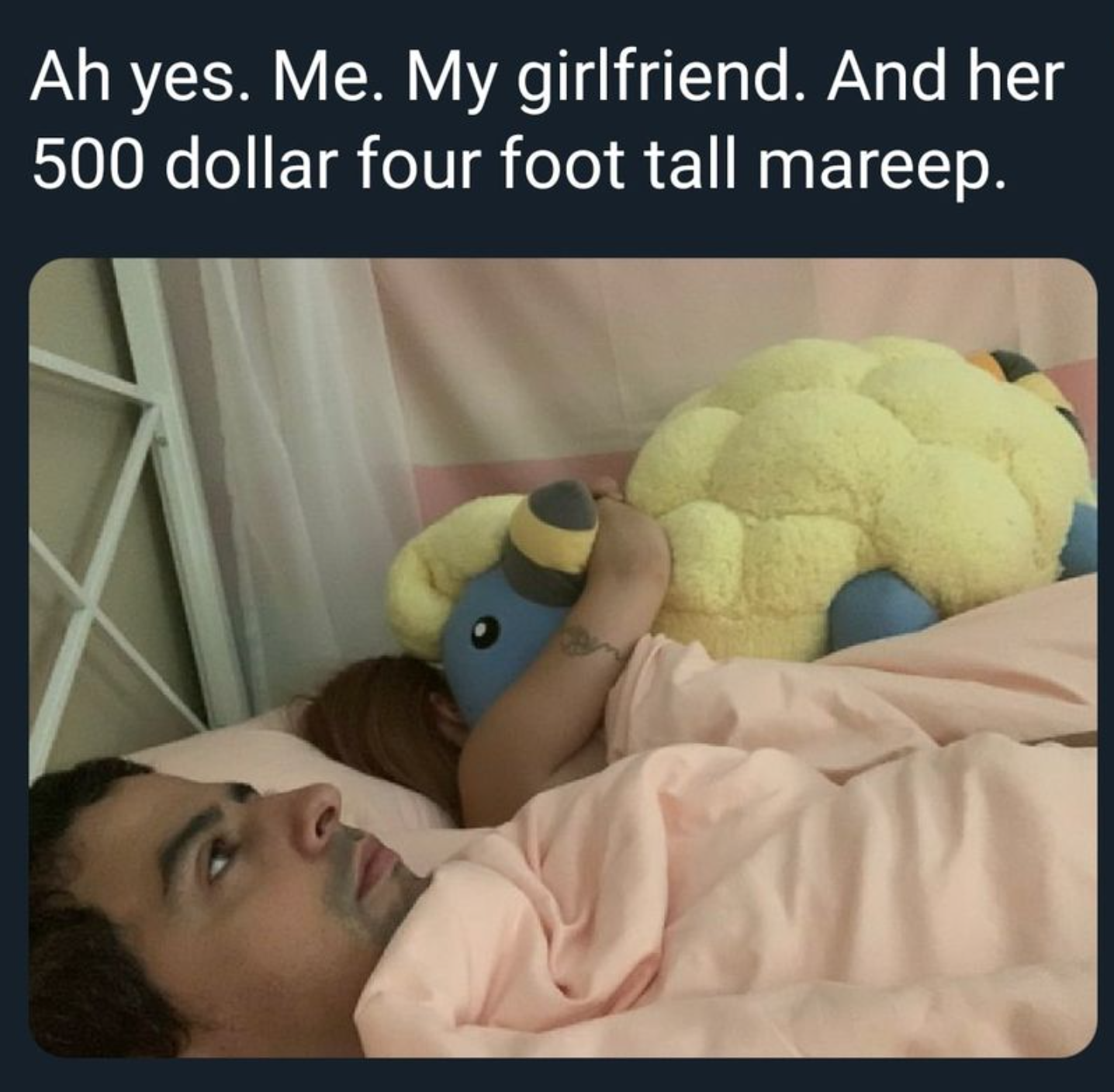 gaming memes - Ah yes. Me. My girlfriend. And her 500 dollar four foot tall mareep.