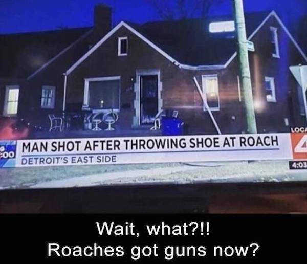 people having a bad day - man shot after throwing shoe at roach - 1 Loca Man Shot After Throwing Shoe At Roach 200 Detroit'S East Side Wait, what?!! Roaches got guns now?