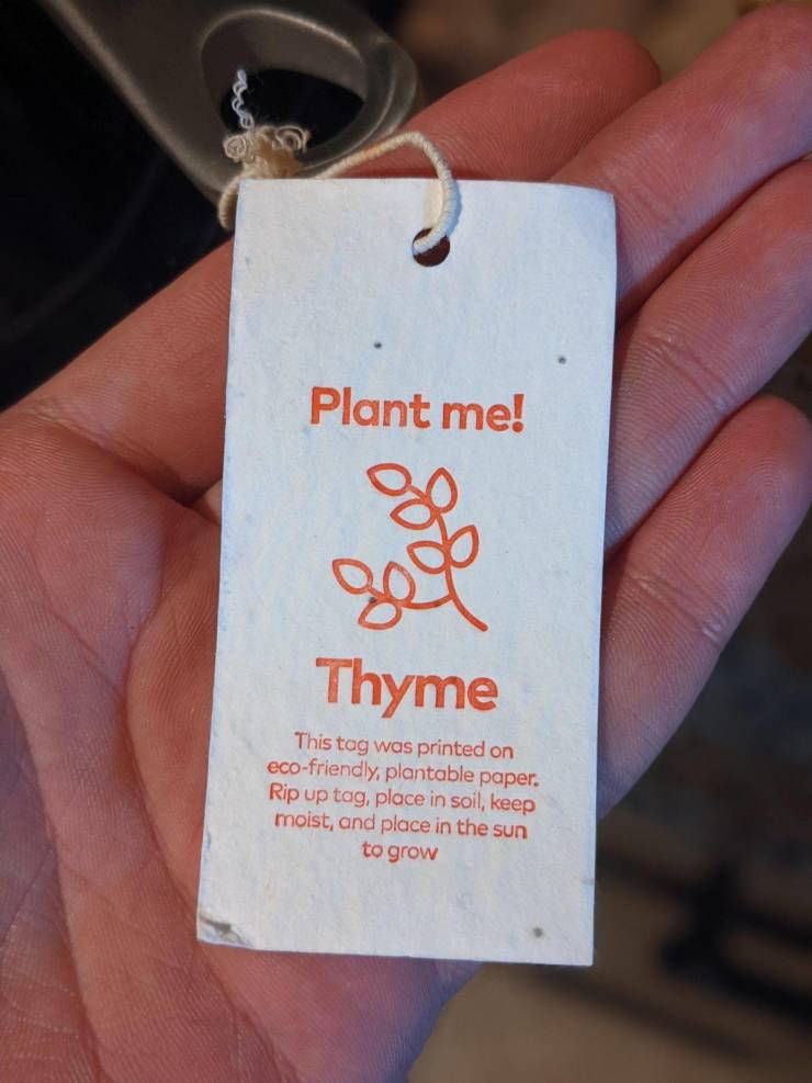 amazing photos and fascinating things - label - Plant me! Thyme This tag was printed on ecofriendly, plantable paper. Rip up tag, place in soil, keep moist, and place in the sun to grow