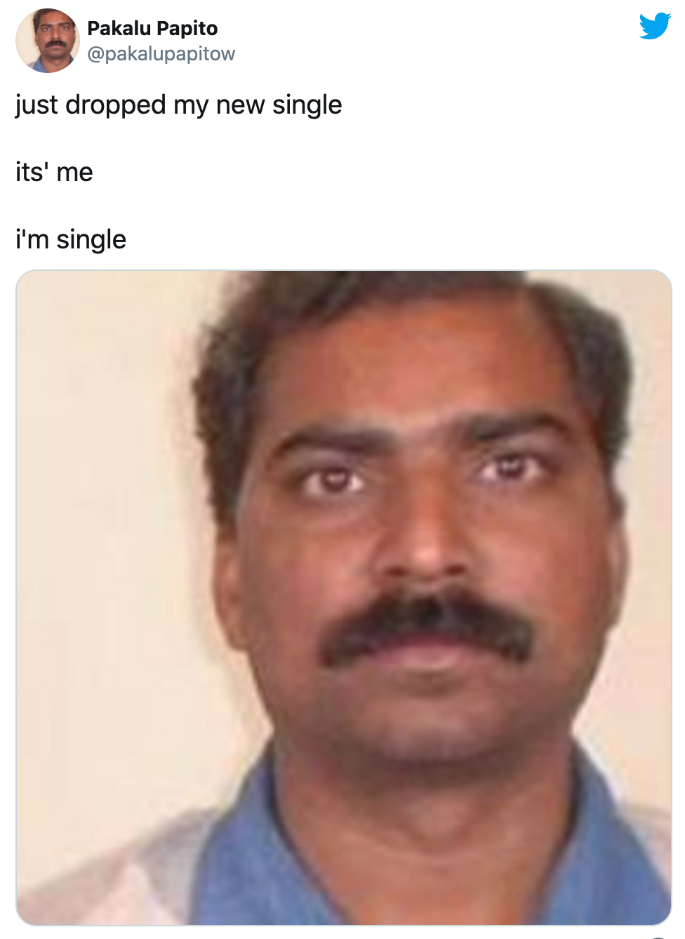 funny valentine's day memes -- Pakalu Papito just dropped my new single its' me i'm single