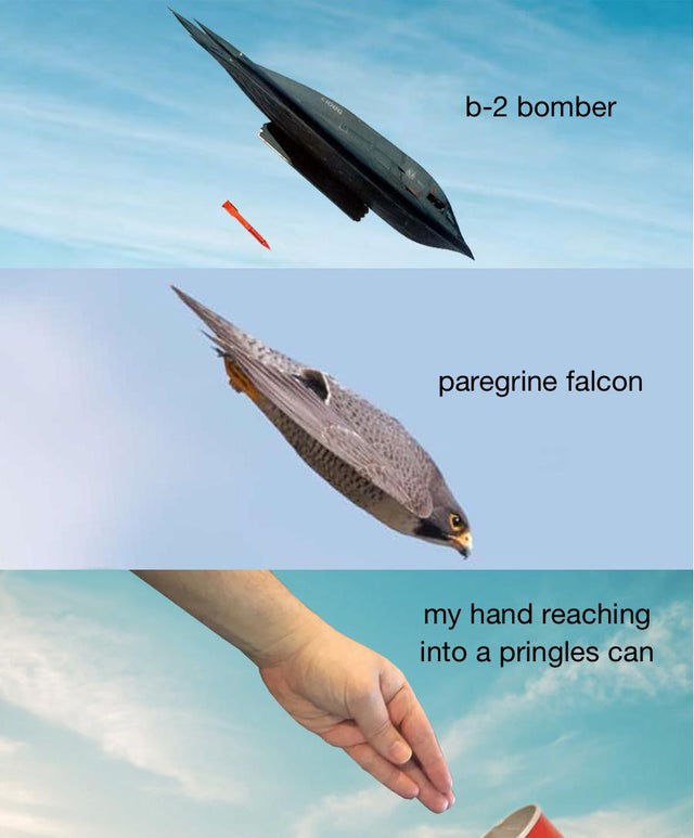 funny memes - b2 bomber paregrine falcon my hand reaching into a pringles can
