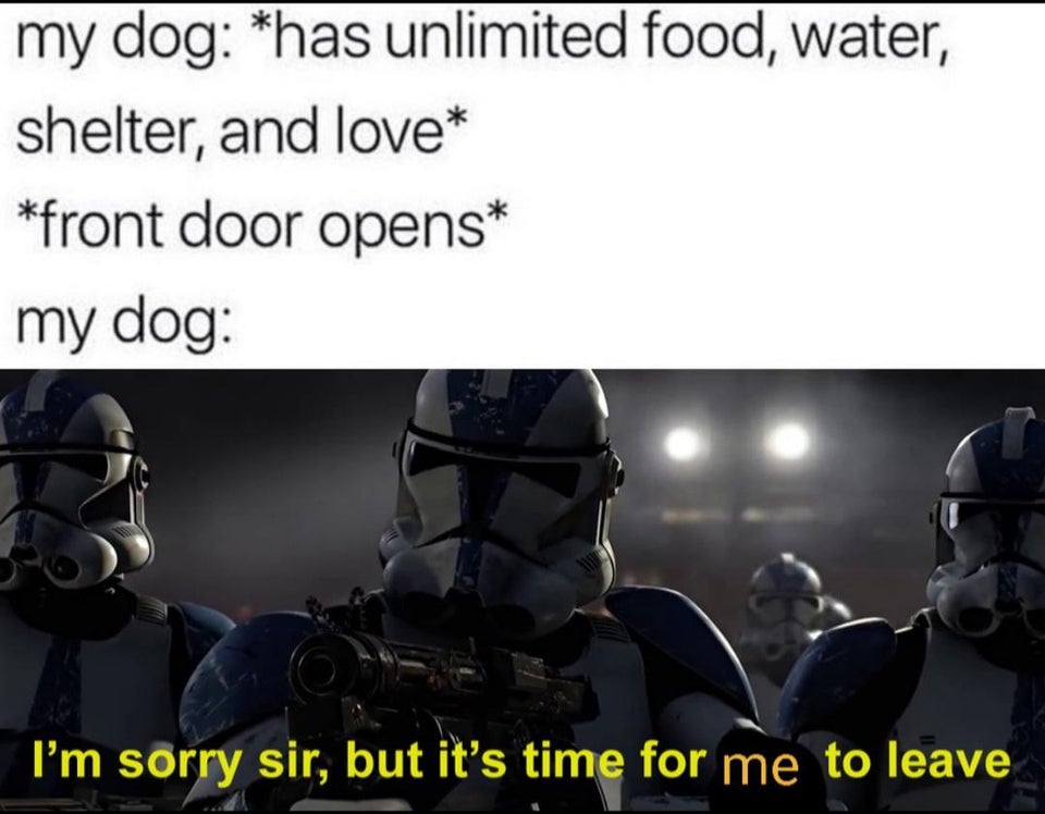 funny memes - my dog has unlimited food, water, shelter, and love front door opens my dog I'm sorry sir, but it's time for me to leave