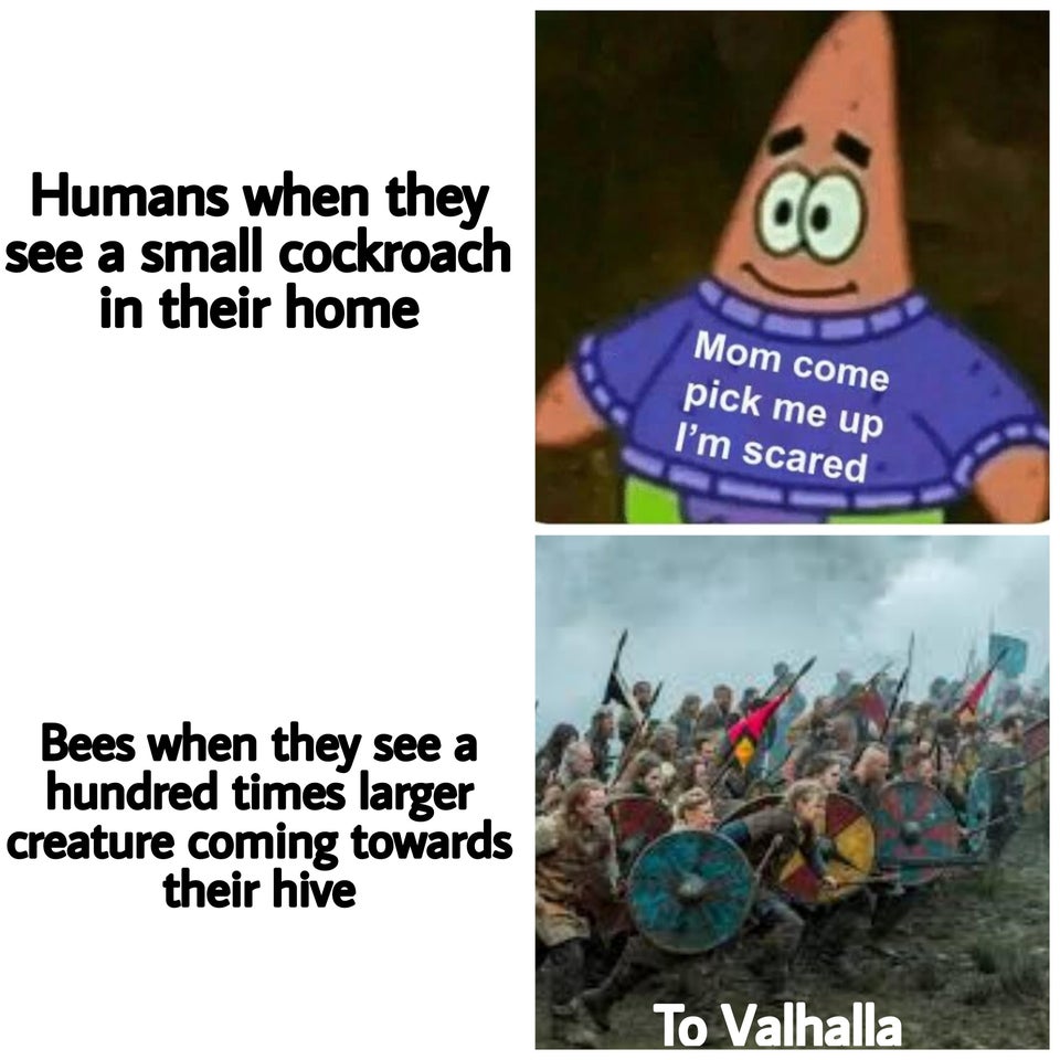 funny memes - Humans when they see a small cockroach in their home Co Mom come pick me up I'm scared Bees when they see a hundred times larger creature coming towards their hive To Valhalla