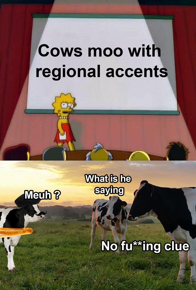 funny memes - Cows moo with regional accents What is he saying Meuh? No fucking clue