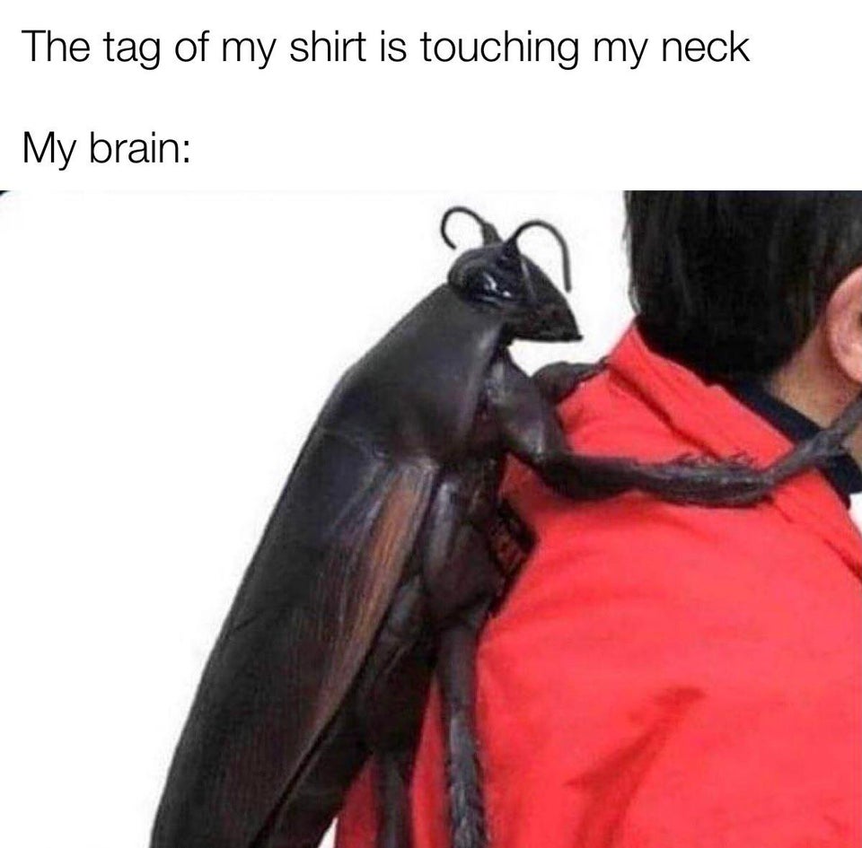 funny memes - cockroach backpack - The tag of my shirt is touching my neck My brain