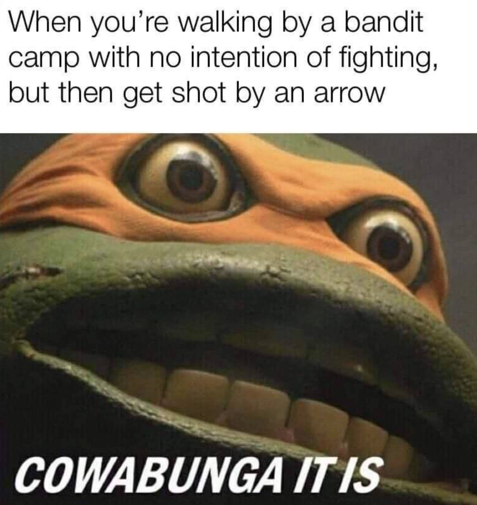 gaming memes - kowabunga meme - When you're walking by a bandit camp with no intention of fighting, but then get shot by an arrow Cowabunga It Is