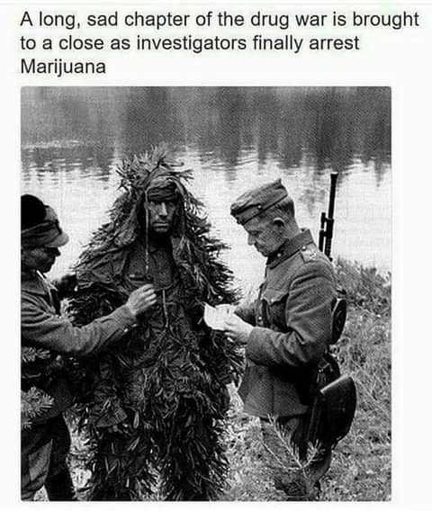 funny memes and random pics - finally arrested marijuana - A long, sad chapter of the drug war is brought to a close as investigators finally arrest Marijuana