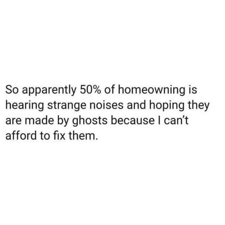 funny memes and random pics - so focused quotes - So apparently 50% of homeowning is hearing strange noises and hoping they are made by ghosts because I can't afford to fix them.