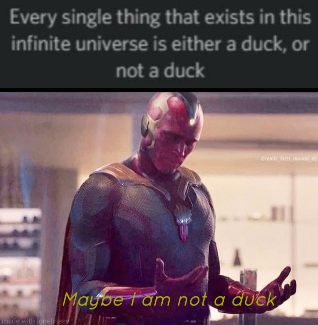 funny memes and random pics - vision meme template - Every single thing that exists in this infinite universe is either a duck, or not a duck comk facts marvel de Mayo Maybe tam not a duck made with loneliness