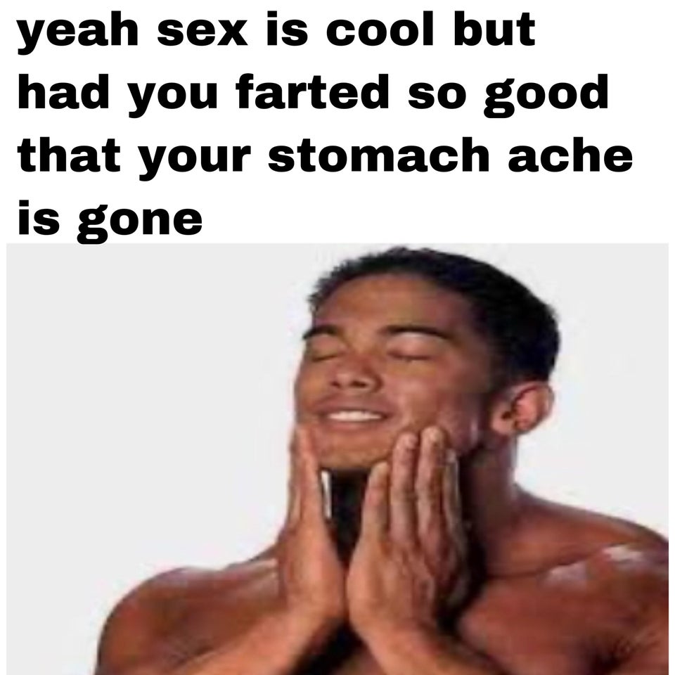 funny memes - yeah sex is cool but had you farted so good that your stomach ache is gone