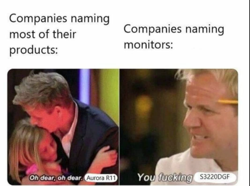 gordon ramsay meme template donkey - Companies naming most of their products Companies naming monitors Oh dear, oh dear. Aurora R11 You fucking S3220DGF