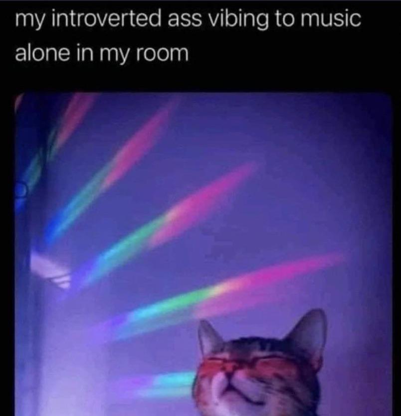 funny memes - special effects - my introverted ass vibing to music alone in my room