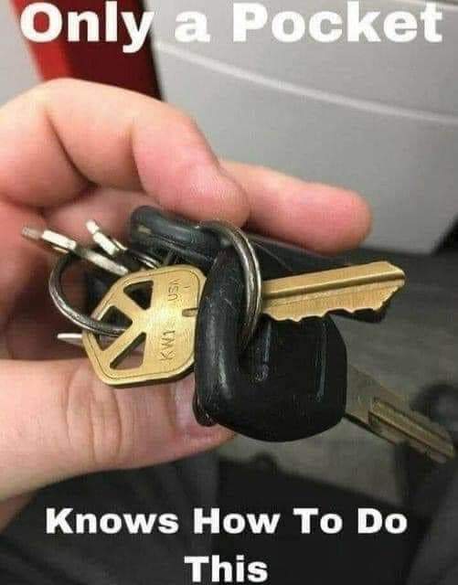 funny memes - key reddit - Only a Pocket Knows How To Do This