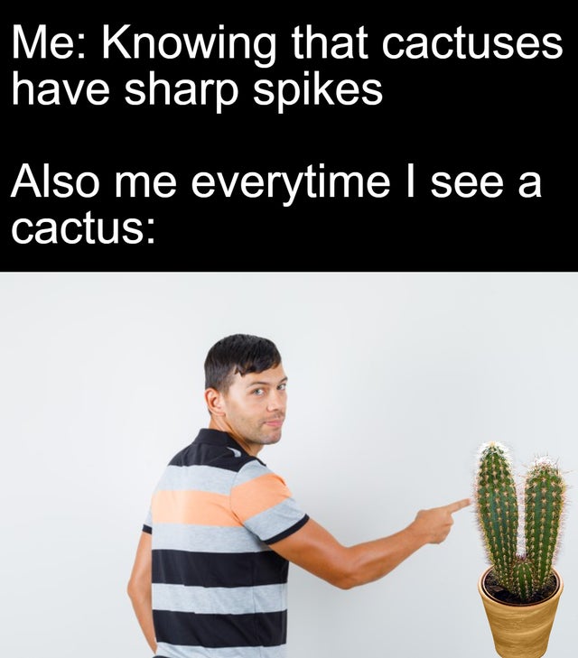 funny memes - Me Knowing that cactuses have sharp spikes Also me every time I see a cactus
