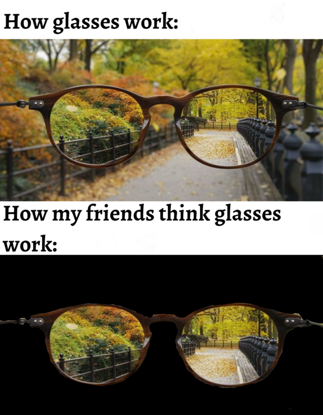 funny memes - How glasses work How my friends think glasses work