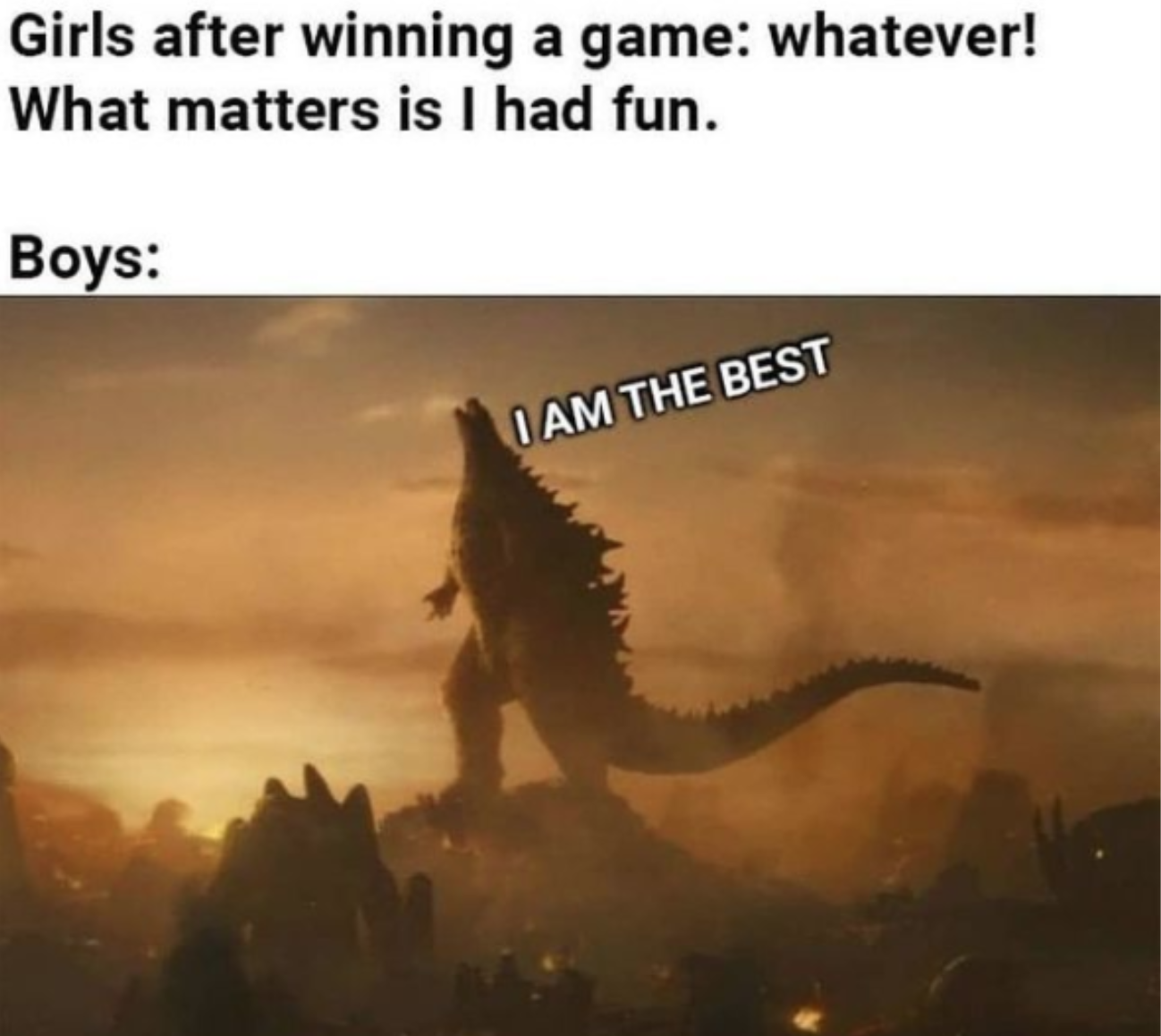 gaming memes - monster zoom background - Girls after winning a game whatever! What matters is I had fun. Boys I Am The Best