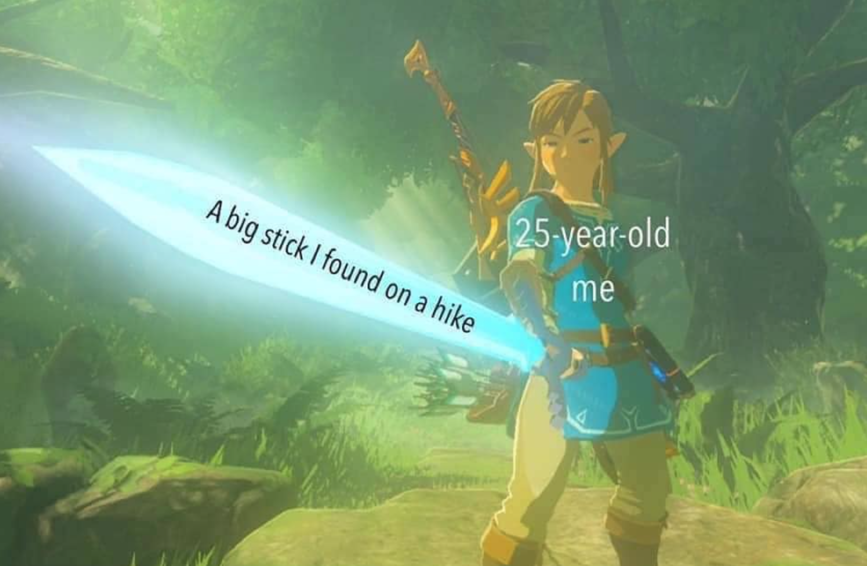 master sword memes - A big stick I found on a hike 25yearold me for