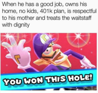 you won this hole meme - When he has a good job, owns his home, no kids, plan, is respectful to his mother and treats the waitstaff with dignity You Won This Hole!