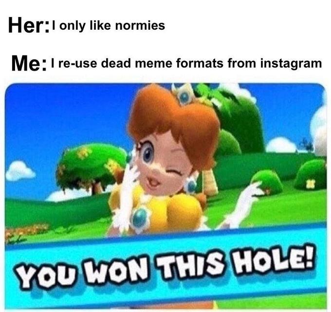 you won this hole meme - HerI only normies Me I reuse dead meme formats from instagram You Won This Hole!