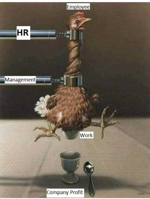 25 Funny Work Memes That Tell It like It Is - Funny Gallery