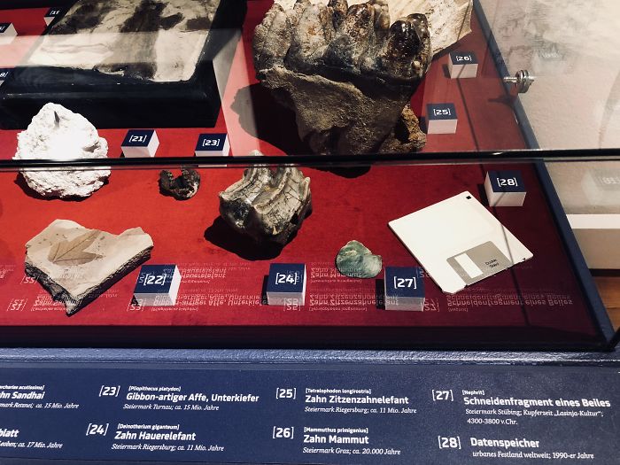 fascinating photos - Local museum added a floppy disk to the Fossils section.
