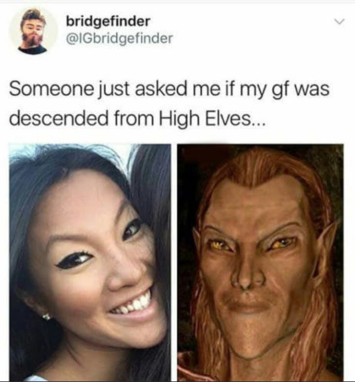 gaming memes and pics - skyrim high elf meme - bridgefinder Someone just asked me if my gf was descended from High Elves...